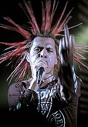 Casualties/Terry Mayer