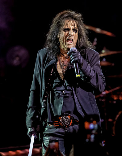 The Hollywood Vampires