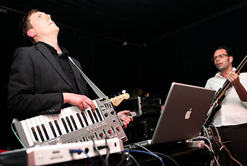 Collections of Colonies of Bees