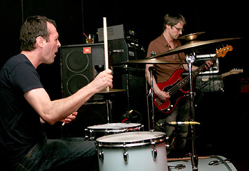 Collections of Colonies of Bees