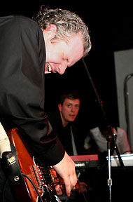 Collections of Colonies of Bees