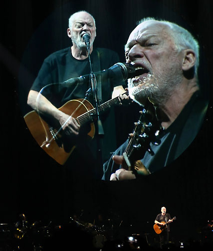 David Gilmour