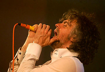 The Flaming Lips