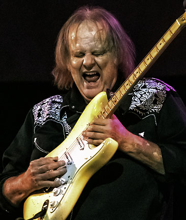 Walter Trout