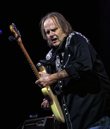 Walter Trout