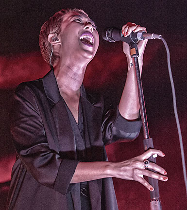 The Naked and The Famous