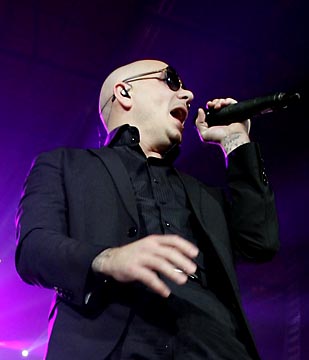 Pitbull