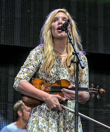 Alison Krause