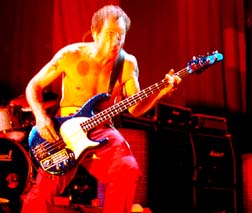 Flea