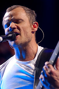 Flea