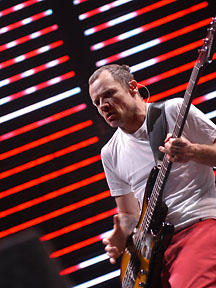 Flea 