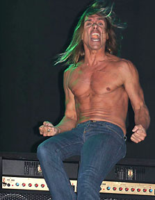 Iggy