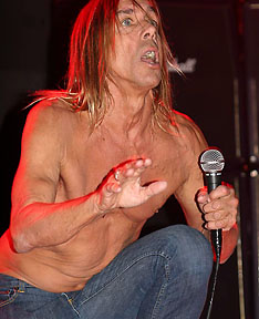 Iggy Pop