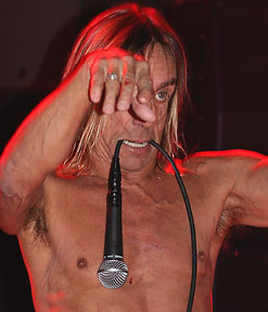 Iggy Pop