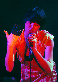 The Yeah Yeah Yeahs