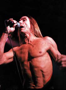 Iggy Pop