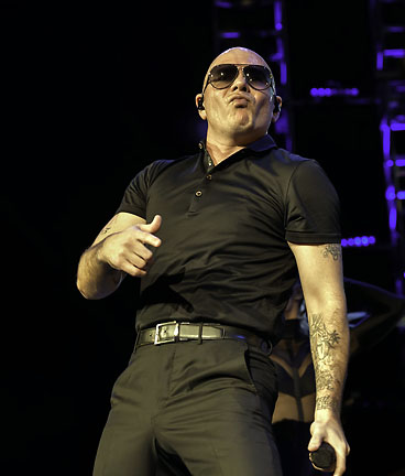 Pitbull