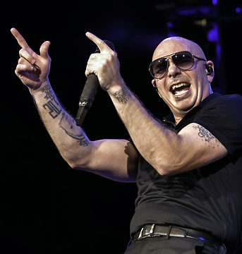 Pitbull