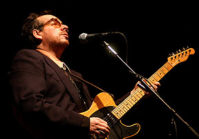 Elvis Costello