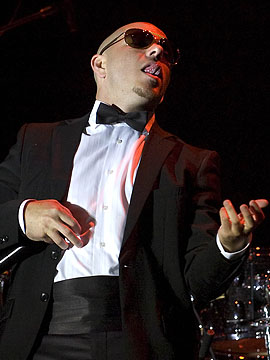Pitbull