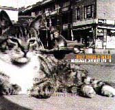 Billy Bragg and Wilco