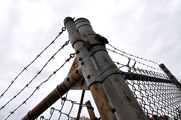 The barbed wire of Calvary Cemetery