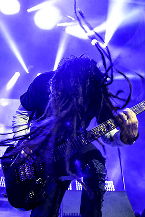 Korn